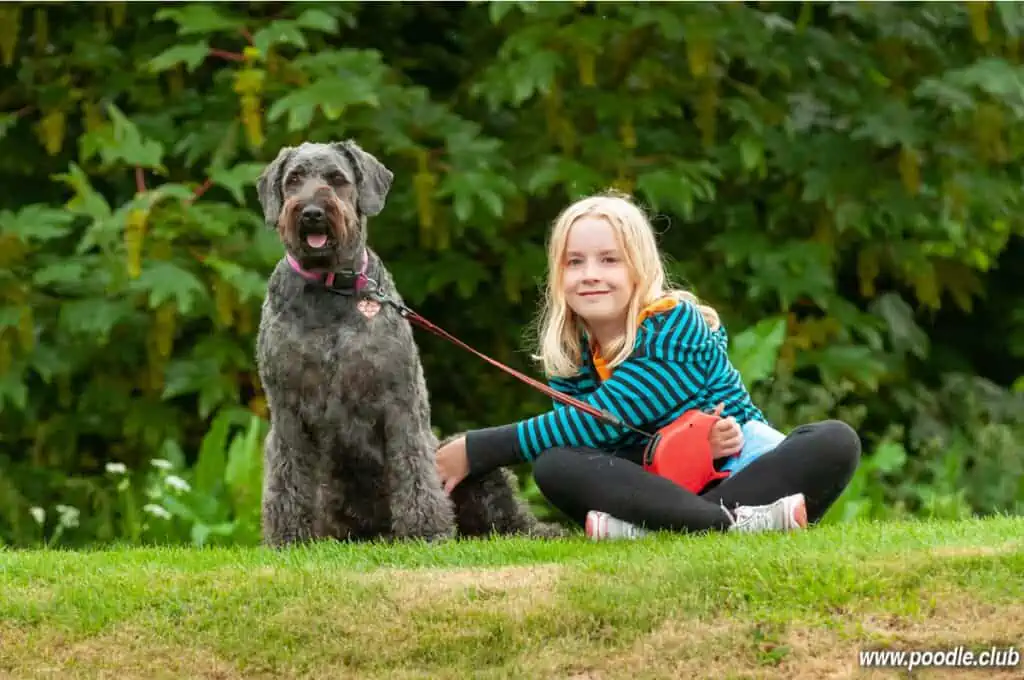 girl with black Labradoodle