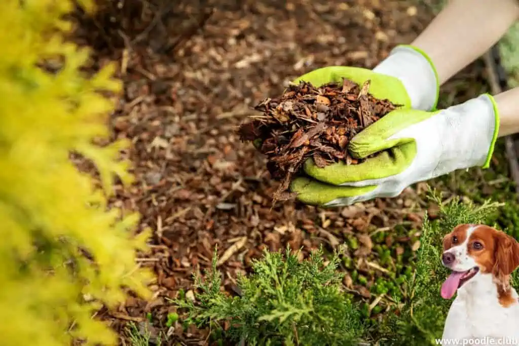 mulch for dog toilet