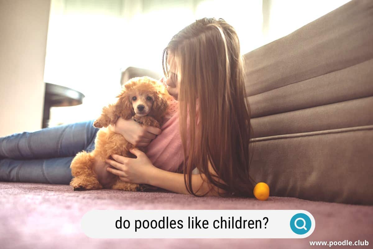 do poodles like children?
