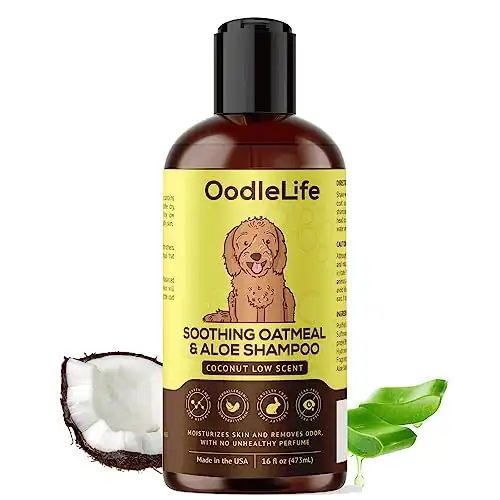 OODLELIFE Dog Shampoo and Conditioner Aloe Oatmeal + Coconut 16 fl oz